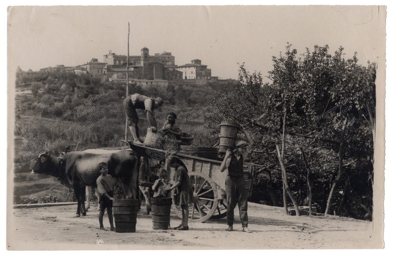 Lari - in tempora vindimiae - 1928.jpg