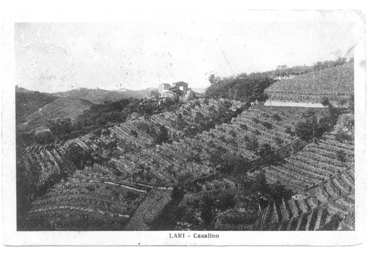 Lari - Casalino