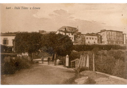 Lari - Viale Trento e Trieste